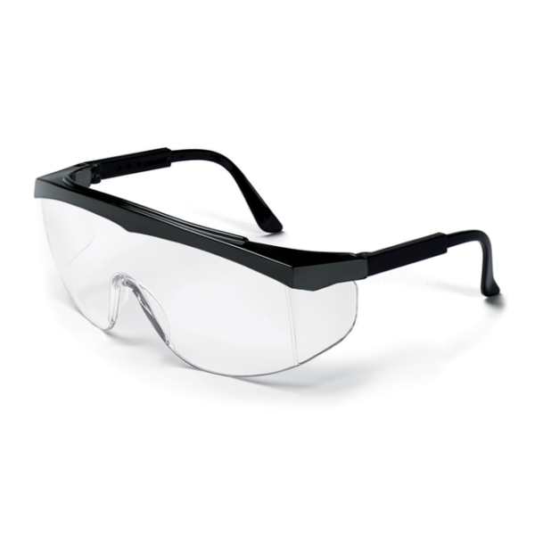 SWS GOGGLES: lunettes de protection